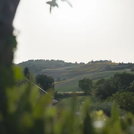 Antica Fonte Del Latte 4* Santa Vittoria in Matenano