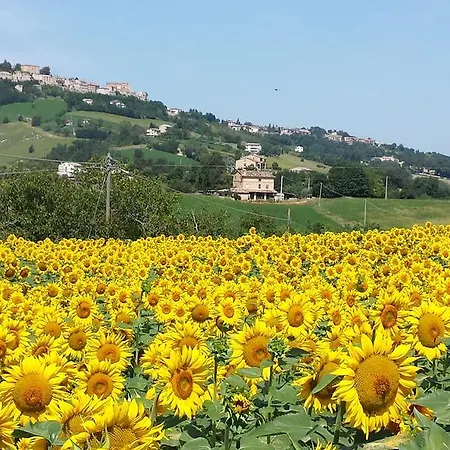 Bed & Breakfast Antica Fonte Del Latte Santa Vittoria in Matenano