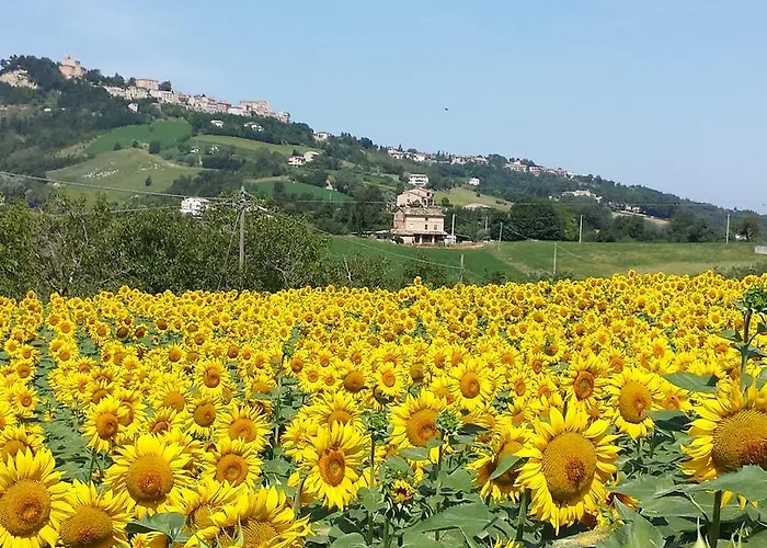 Bed & Breakfast Antica Fonte Del Latte Santa Vittoria in Matenano